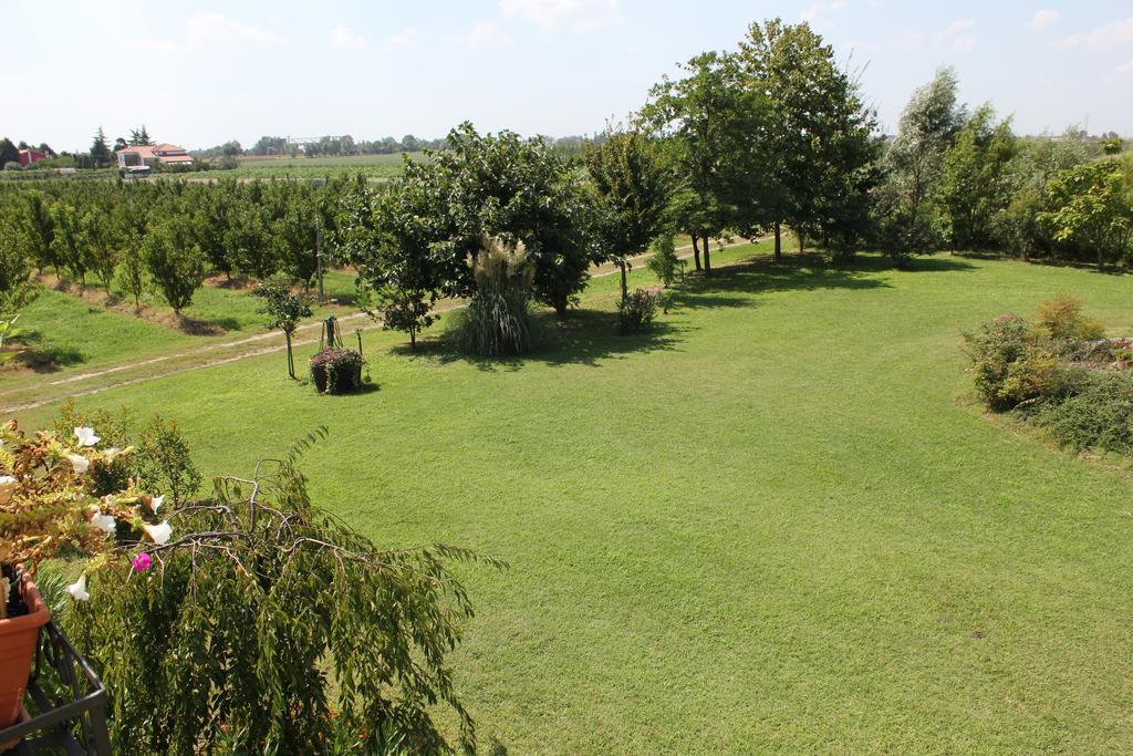 Agriturismo Corte Carezzabella San Martino di Venezze Bagian luar foto