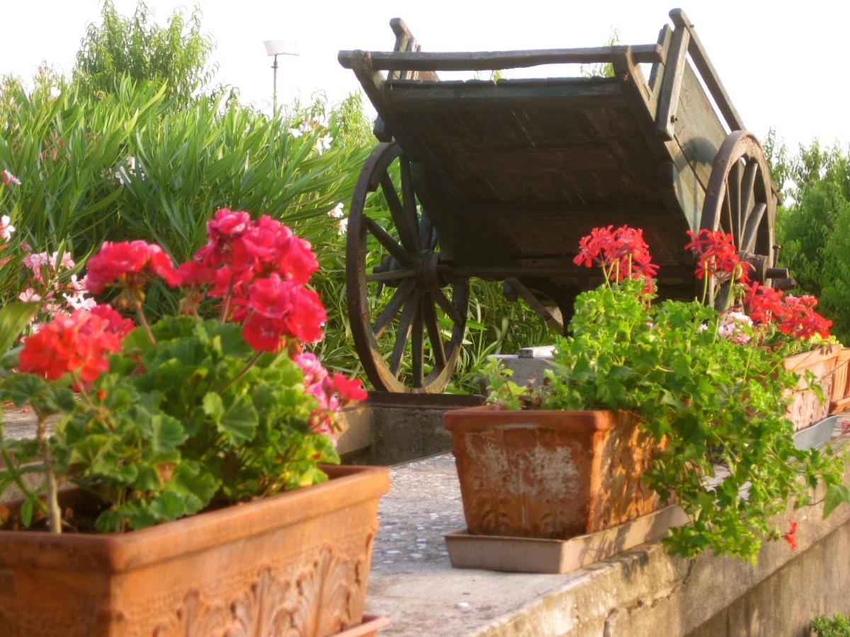 Agriturismo Corte Carezzabella San Martino di Venezze Bagian luar foto