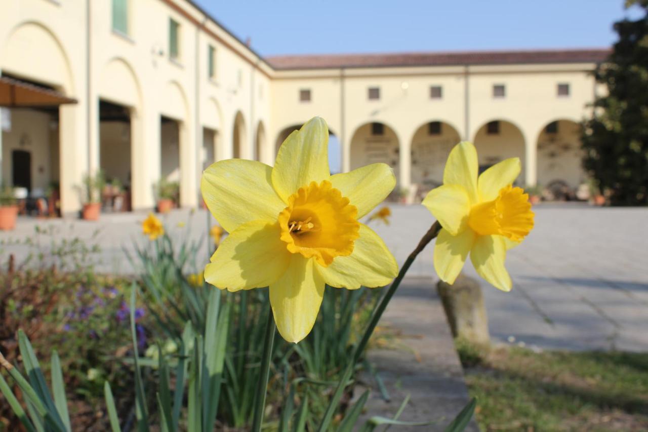 Agriturismo Corte Carezzabella San Martino di Venezze Bagian luar foto