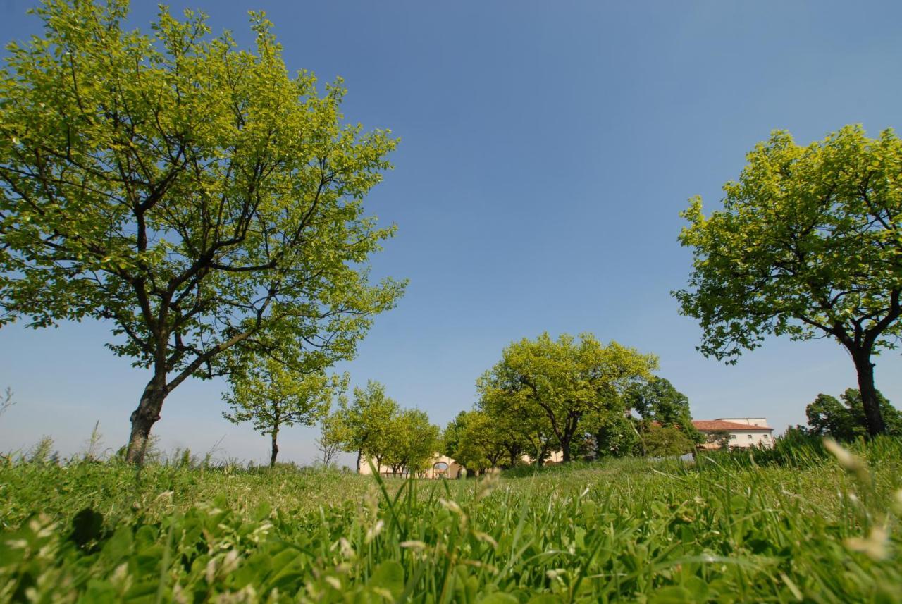 Agriturismo Corte Carezzabella San Martino di Venezze Bagian luar foto